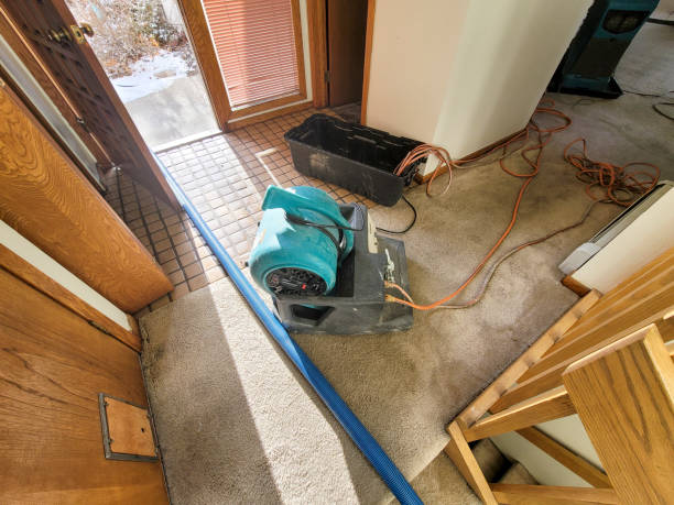 Water damage restoration insurance claims in Oak Grove, MO