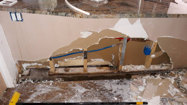 Best Basement water damage restoration  in Oak Grove, MO